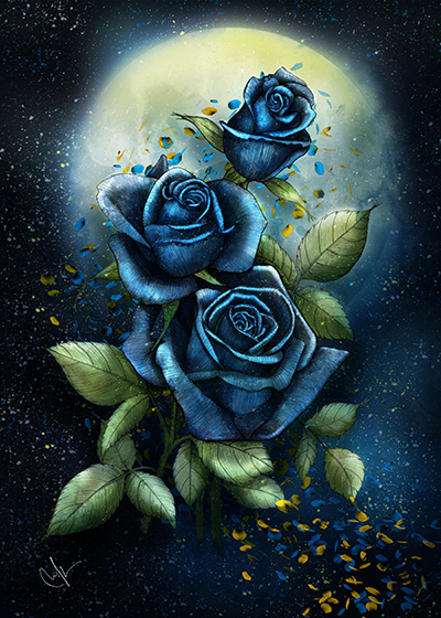 night_roses_400